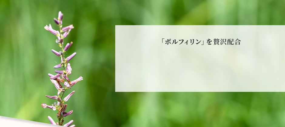 「ボルフィリン」を贅沢配合