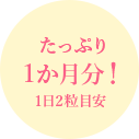 たっぷり1か月分！1日2粒目安