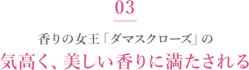 03 香りの女王「ダマスクローズ」の気高く、美しい香りに満たされる