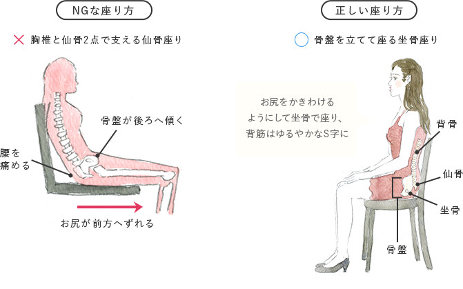 NGな座り方 胸椎と仙骨2点で支える仙骨座り 骨盤が後ろへ傾く 腰を痛める お尻が前方へずれる/正しい座り方 お尻をかきわけるようにして坐骨で座り、背筋はゆるやかなS字に 背骨 仙骨 坐骨 骨盤