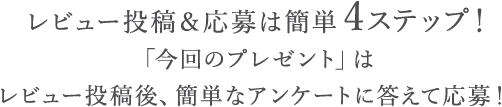 レビュー投稿＆応募は簡単4ステップ！「今回のプレゼント」はレビュー投稿後、簡単なアンケートに答えて応募！