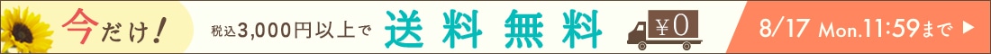 【260807_送料無料】ヘッダー横イチ