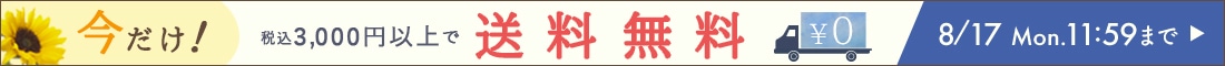 【260812_送料無料】ヘッダー横イチ