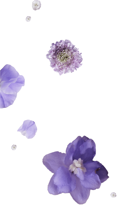 ミラクルブラ: | ピーチ・ジョン公式通販サイト