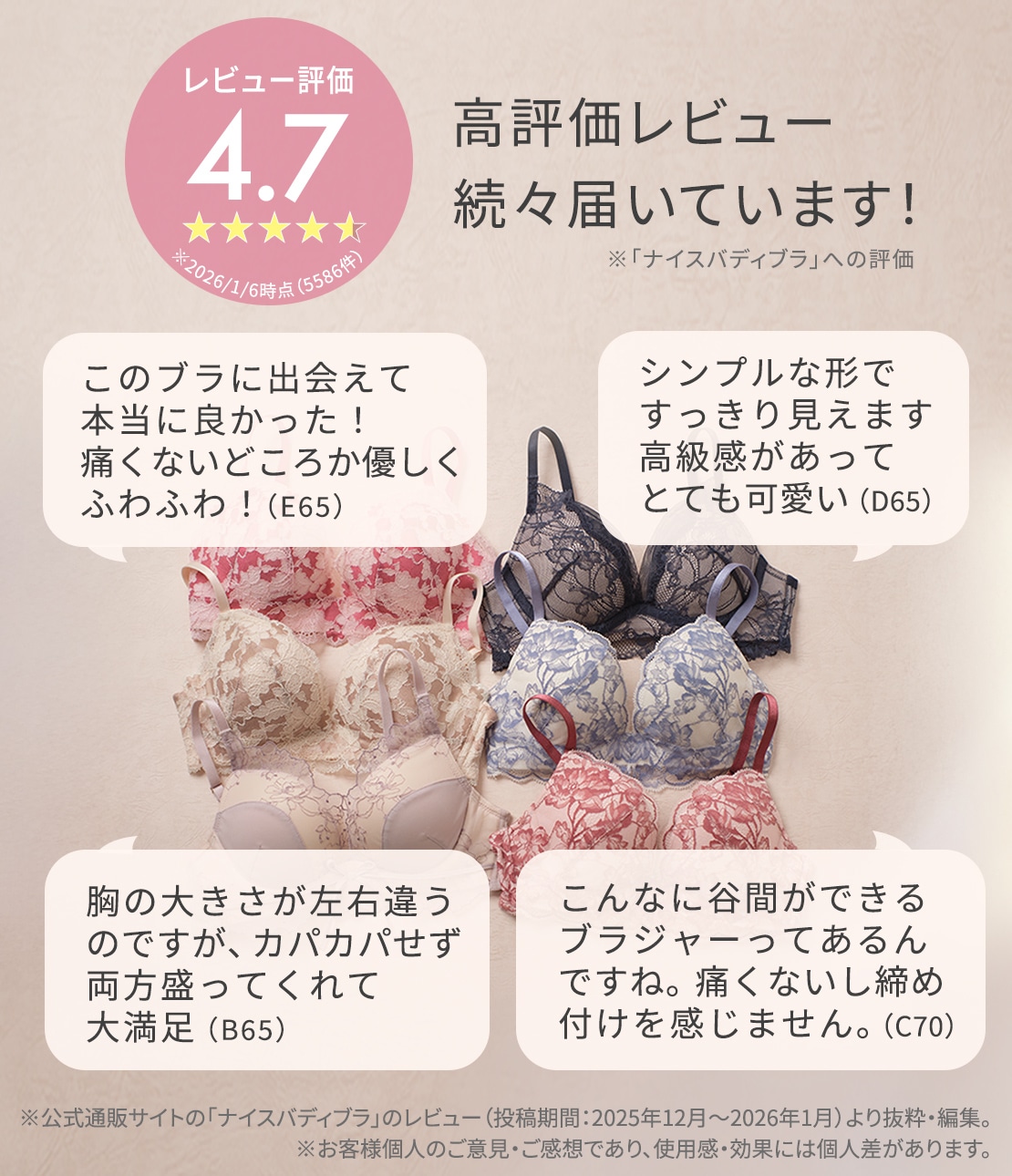 SALSATION　ブラ　Blush　新作 ナイスバディブラシアーチュールエンブロイダリーレース(A65 ブラック