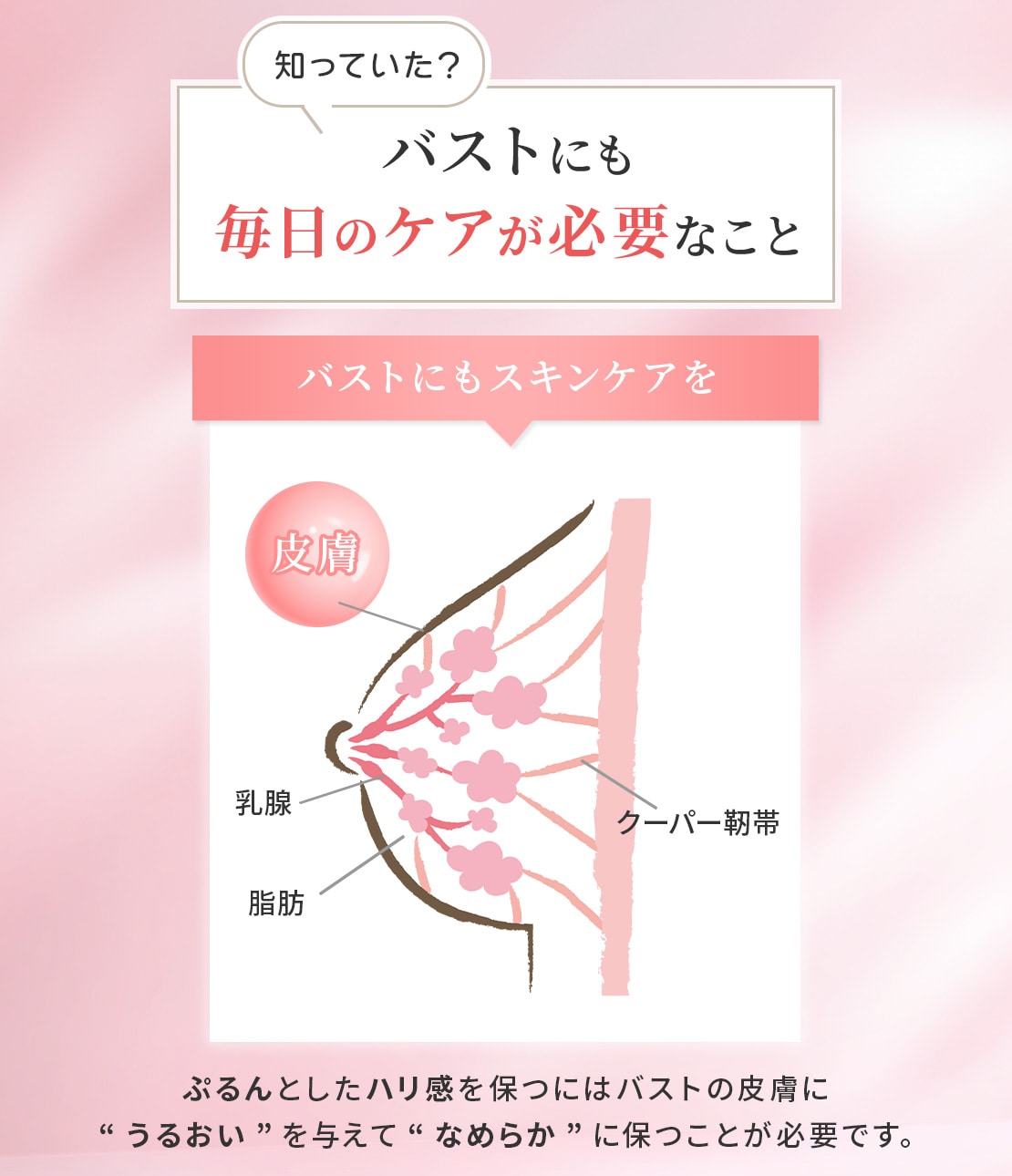 レディース 福袋 (セール) -ファッション通販 お得にお届け便】バスト※＆インナーケアセット(- JOHN PEACH -): パック・フェイスマスク