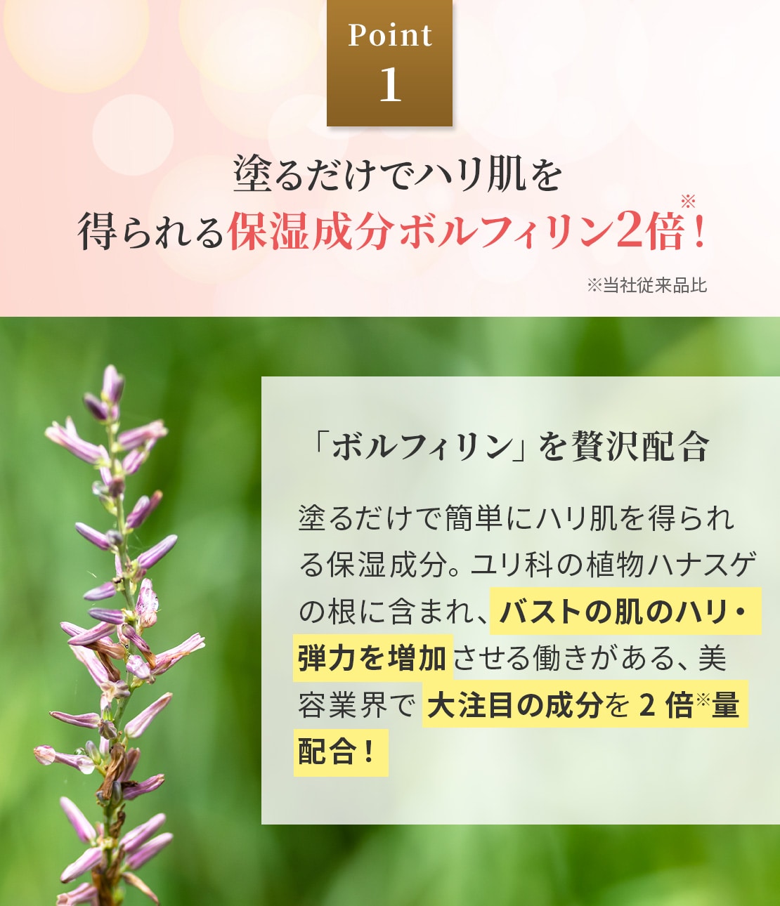 お得にお届け便】ボムバストクリーム プレミアム(1 セダクティブ