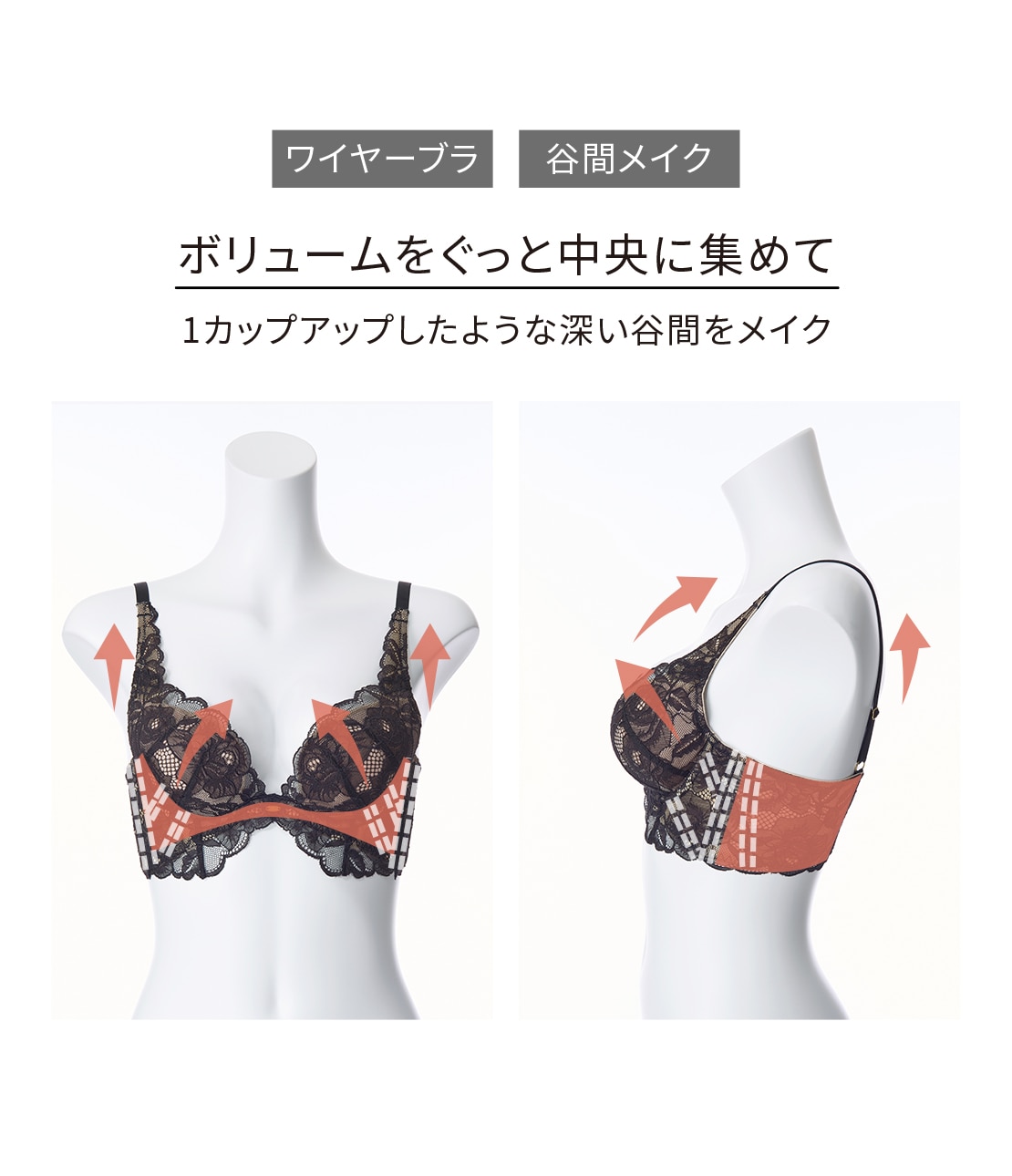 ヨーロピアンコルセッタブラグランローザ(C65 ブラック): SALON by