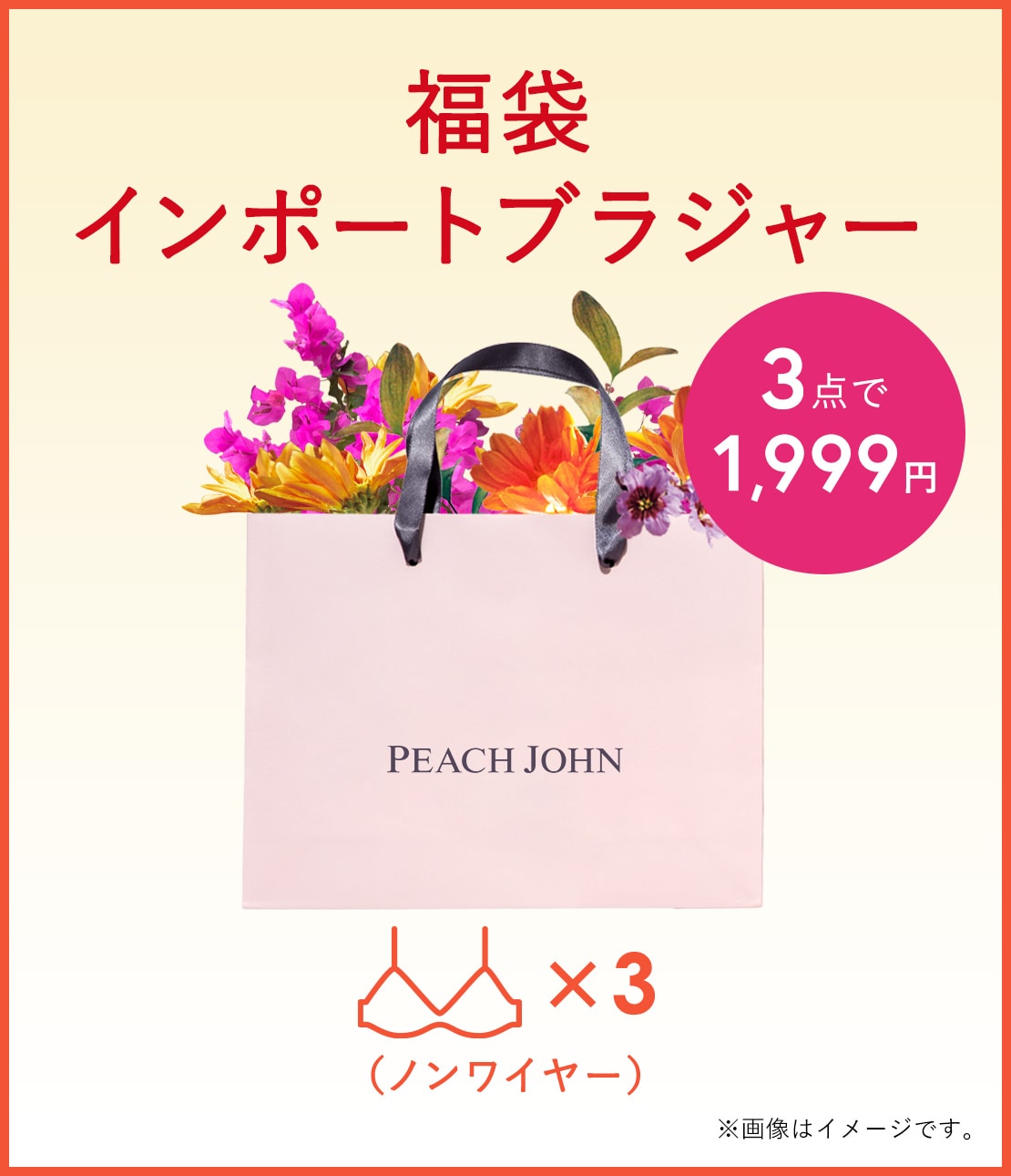 福袋インポートブラジャー（3枚入り）(C70 ミックス): PEACH JOHN