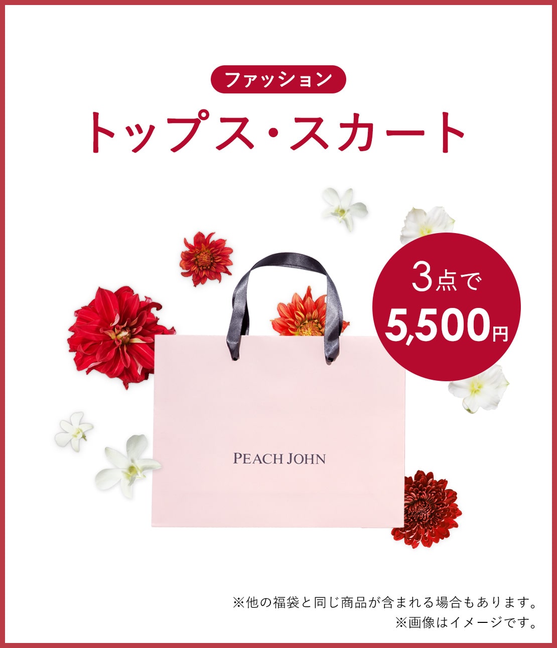 福袋ＰＪ　ＦＡＳＨＩＯＮトップス・スカート（３点入り）